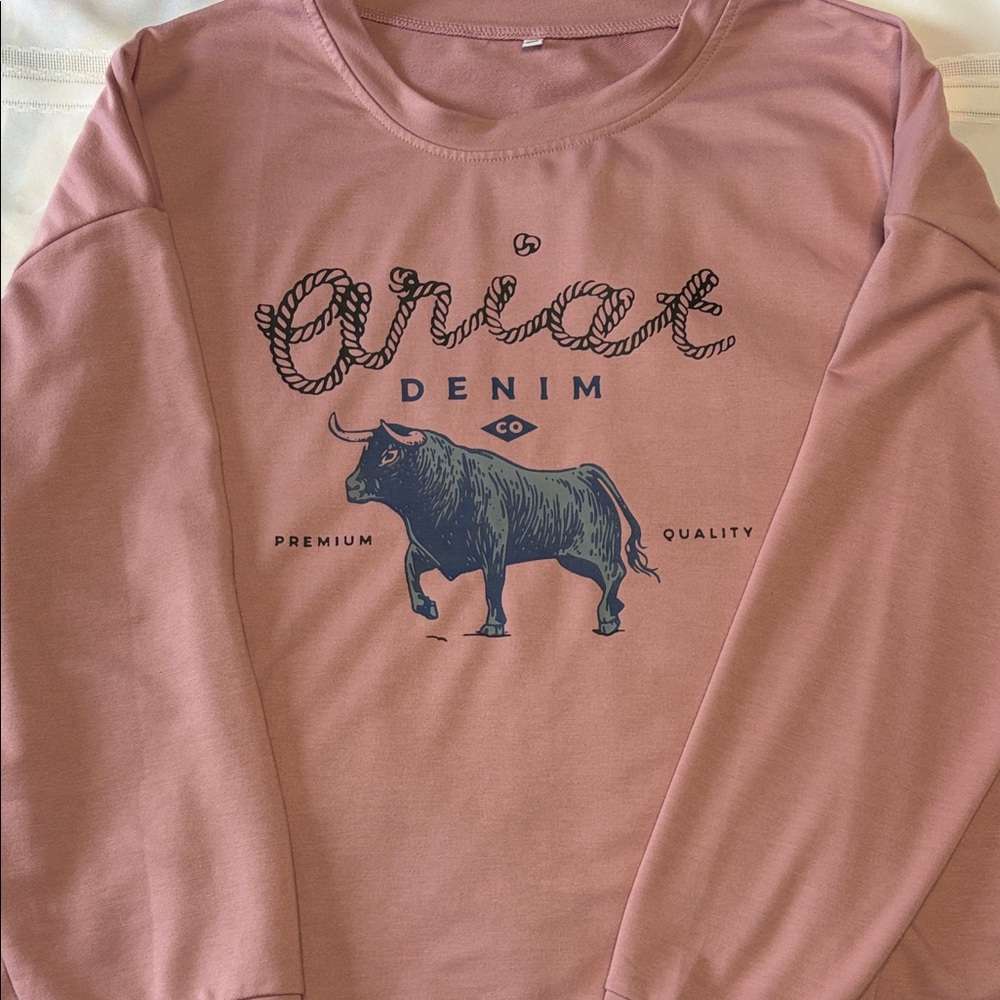 SHEIN Pink Graphic Sweatshirt